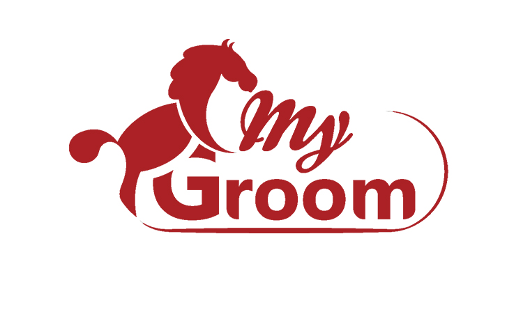 logo My Groom